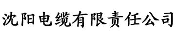 第一版主网app电缆厂logo